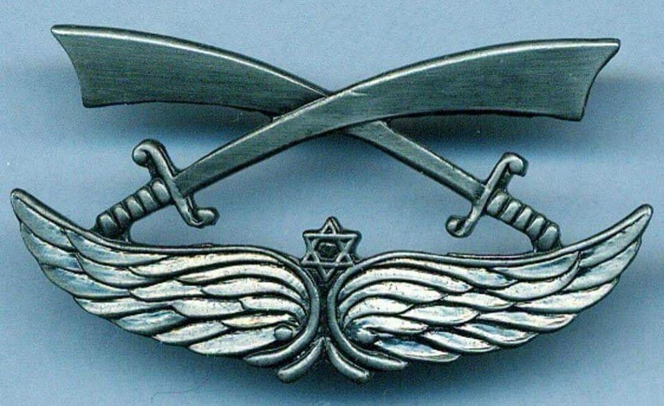 [Badge Gdud Herev]